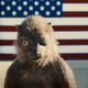 Sean Gunn as the Weasel in James Gunn's upcoming movie The Suicide Squad.